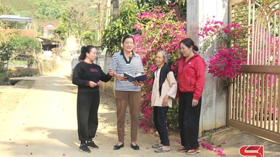 Tipik kültür hakkında