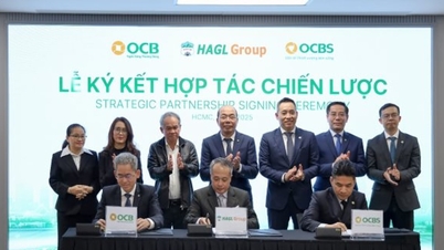 Az OCB, az OCBS és a Hoang Anh Gia Lai háromoldalú stratégiai együttműködést kötött