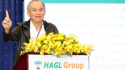 Mr. Duc talks about "something he never dared to dream of" when for 5 years everything he said was wrong.