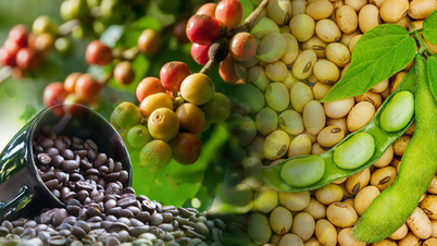 ÁRUPIAC: Az MXV-index esett, a kávé és a szójabab továbbra is vonzó a vásárlóerő szempontjából