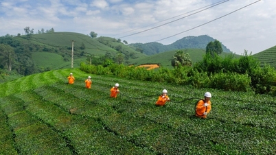 PC Phu Tho setzt sich für die Gleichstellung der Geschlechter und die Förderung von Frauen ein.