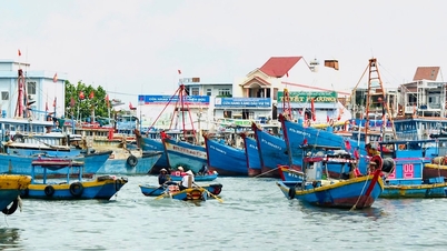 Dong Lam Dong reagerar snabbt på stormen KOTO