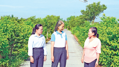 Превратите принцип «5 нет, 3 чисто» в действие