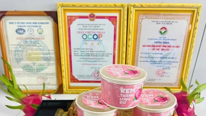 친숙한 농산물로부터의 혁신