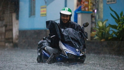 Der Vorsitzende von Ho-Chi-Minh-Stadt fordert die Betreiber der Stauseen auf, den Wasserstand vor dem Sturm Nr. 15 proaktiv zu senken.