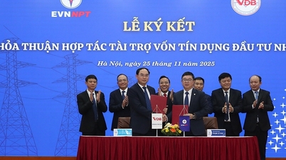 شرکت EVNNPT با VDB توافقنامه همکاری در زمینه تامین مالی سرمایه گذاری دولتی و اعتبارنامه امضا کرد.