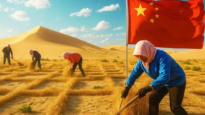중국, 비밀 무기로 사막을 금으로 바꾸다
