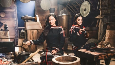 Lam Dong organiseert het eerste wereldwijde koffie-erfgoedfestival