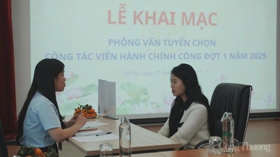 হ্যানয় জনপ্রশাসন সহযোগীদের একটি নেটওয়ার্ক বাস্তবায়নের পাইলট হিসেবে কাজ করছে