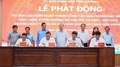 Ca Mau rozpoczęło kampanię emulującą szczyty, aby dokończyć oczyszczanie terenu pod kluczowe projekty.