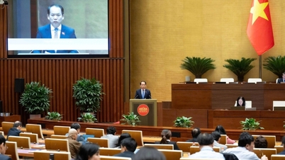 Poliția are dreptul la „reținere de urgență” pentru o perioadă de până la 45 de zile în vederea extrădării.