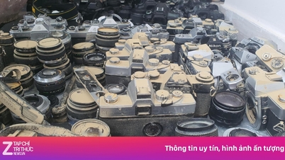 Un almacén de cámaras valorado en más de 500 millones de dongs resultó gravemente dañado tras una inundación.