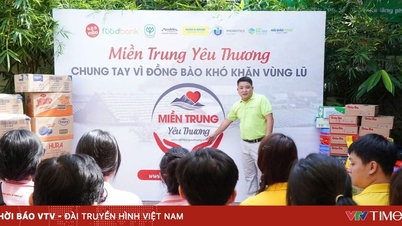راه‌اندازی کمپین «دوست داشتن ویتنام مرکزی» برای حمایت از مردم مناطق سیل‌زده