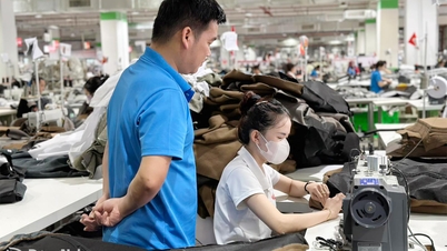 Improve workers' lives