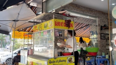 Reglementări privind depunerea declarațiilor fiscale pentru gospodăriile comerciale cu venituri sub 200 de milioane de VND