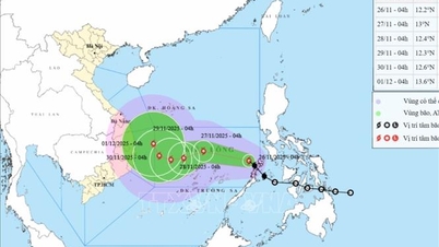 Für Sturm Nr. 15 wird eine Verstärkung um 2 Stufen innerhalb der nächsten 24 Stunden erwartet.