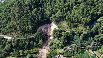 Corrijam esse problema com urgência para liberar o Mimosa Pass o mais rápido possível.