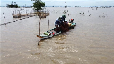 Mengubah lahan asin menjadi lumbung produk pertanian dan perairan