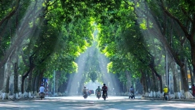 Bez zeleně nemůže existovat město.