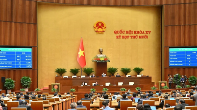 ការ​ធ្វើ​បត្យាប័ន​ត្រូវ​អនុវត្ត​ចំពោះ​ជន​ដែល​ប្រព្រឹត្ត​បទឧក្រិដ្ឋ ហើយ​ត្រូវ​ផ្តន្ទាទោស​ដាក់​ពន្ធនាគារ​ពី ១ ឆ្នាំ ឬ​ច្រើន​ជាង​នេះ។