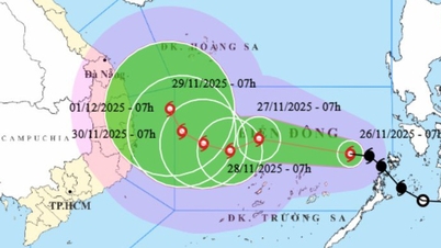 ព្យុះ​លេខ ១៥ ផ្លាស់ទី​ក្នុង​លក្ខណៈ​ស្មុគស្មាញ ខេត្ត​ភាគ​ខាង​ត្បូង​ត្រូវ​តែ​ត្រៀម​ខ្លួន​ជា​ស្រេច​ដើម្បី​ឆ្លើយតប​នឹង​ព្យុះ​ថ្មី និង​គ្រោះ​ធម្មជាតិ។