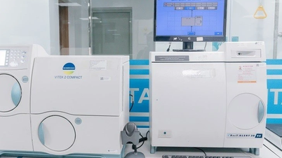 Une femme qui s'automédique pour une infection urinaire développe une insuffisance rénale terminale.