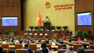 រដ្ឋសភា​បាន​ឯកភាព​ថា កម្រិត​នៃ​ការ​ធ្វើ​បត្យាប័ន​គឺ​ជាប់​ពន្ធនាគារ​រយៈពេល​មួយ​ឆ្នាំ។