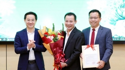 Szövetbank, Őssejtközpont: Életet vetni, a jövőt bevilágítani