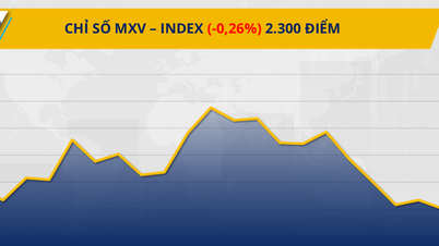 שוק הסחורות: קפה ופולי סויה עדיין מושכים כוח קנייה