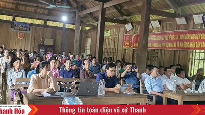 חדשנות מקיפה לשיפור יעילותן של פעילויות סיוע משפטי בתקופה החדשה