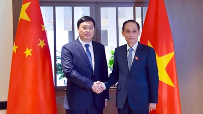 ベトナムと中国の包括的戦略的協力パートナーシップの強化