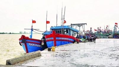 Proaktivně reagujte na bouři č. 15 ve Východním moři