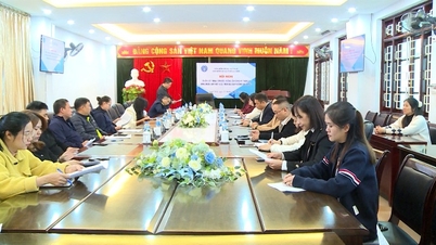 Konference o konzultacích, dialogu, naléhání a vedení registrace k povinnému sociálnímu a zdravotnímu pojištění v okrese Tan Phong