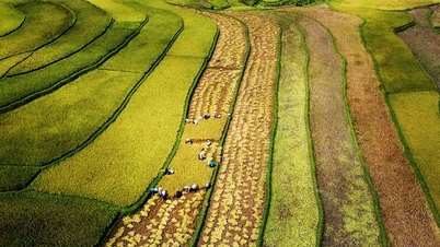 Uskutečnění snu o nových venkovských oblastech z vůle strany a ze srdce lidu