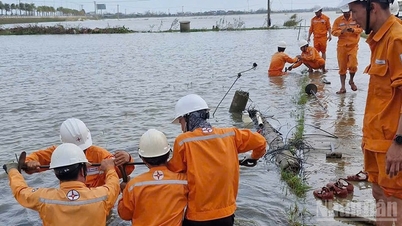 EVNCPC restores power to nearly 100% of customers after flooding