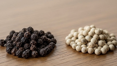 Cena pieprzu dzisiaj, 26 listopada 2025 r., systematycznie rosła zarówno w kraju, jak i za granicą