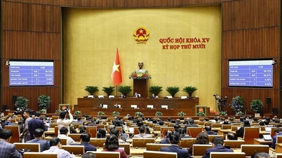 Aprobación de cuatro leyes en materia de asistencia judicial