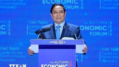 Πρακτικές δράσεις για να δημιουργήσουμε μαζί ένα πράσινο, ψηφιακό και ανθρώπινο μέλλον