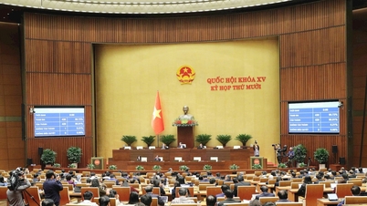 नेशनल असेंबली ने सिविल मामलों में पारस्परिक कानूनी सहायता पर कानून पारित किया।