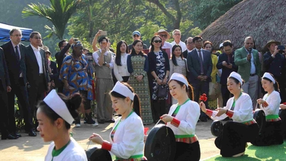 מבקרים בינלאומיים נלהבים ללמוד על הזהות התרבותית הווייטנאמית