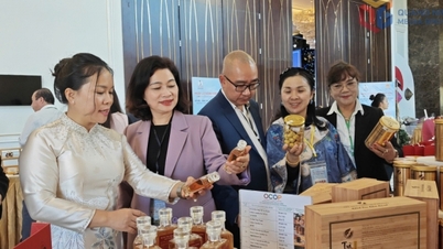 “ມອບປີກ” ໃຫ້ບັນດາຜະລິດຕະພັນກະເສດ ກວາງນິງ ໄປເຖິງໄກ