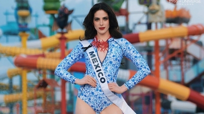 Accused of "buying the award", the new Miss Universe officially speaks out