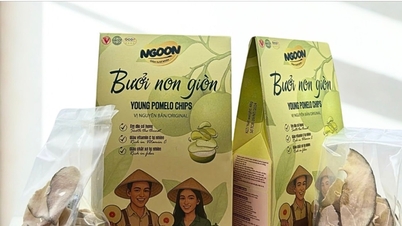 ຮັກສາ​ທ່າ​ໄດ້​ປຽບ​ສົ່ງ​ອອກ​ກະສິກຳ​ໃຫ້​ໝັ້ນຄົງ