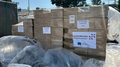 International organizations have provided more than 14 million USD in emergency aid to Vietnam.