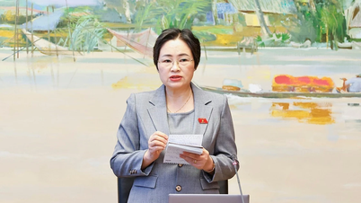 Delegații Adunării Naționale propun eliminarea dificultăților pentru programele naționale țintă