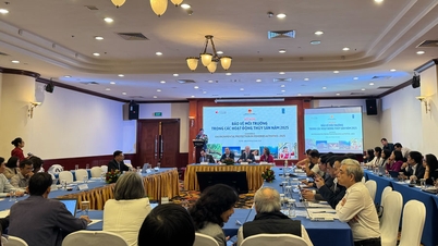 הדיג של וייטנאם מקדם טרנספורמציה ירוקה לקראת פיתוח בר-קיימא