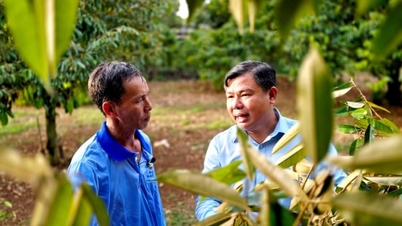 Percée dans les principales zones de culture