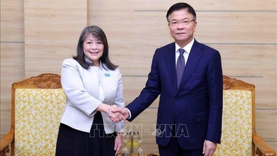 Le vice-Premier ministre Le Thanh Long a reçu le directeur régional de l'UNICEF pour l'Asie de l'Est et le Pacifique.