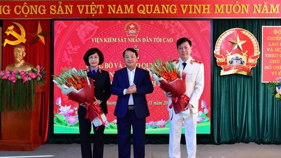 Genosse Ly Van Huan wurde versetzt und zum Chefankläger der Volksstaatsanwaltschaft der Provinz Tuyen Quang ernannt.