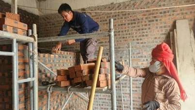 Les femmes des montagnes gagnent leur vie à Hai Phong